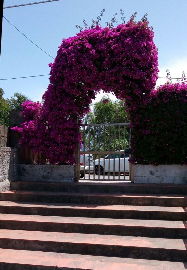מסקלי Aessebenessere Casavacanza מראה חיצוני תמונה